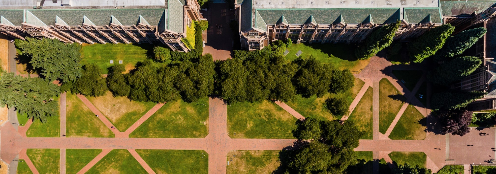 the quad from above
