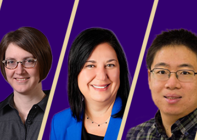 min sun nsf grant team
